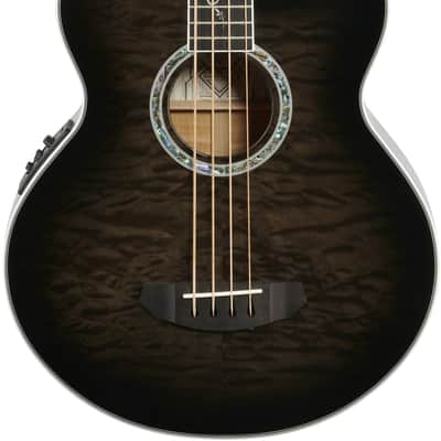 Michael Kelly Dragonfly 4 Acoustic-Electric Bass Guitar, Pau Ferro Fingerboard, Smoke Burst image 2