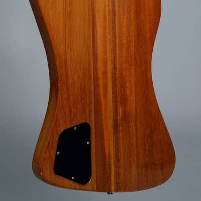 Gibson Thunderbird Bicentennial 1976 - Natural image 4