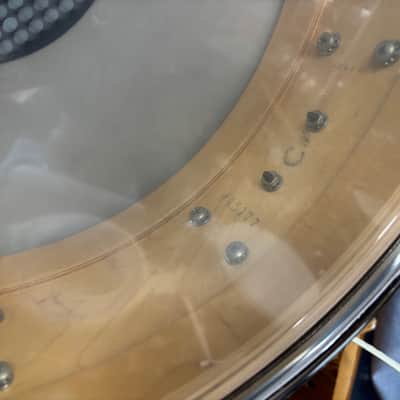 DW Collectors, maple snare drum image 7
