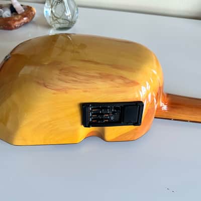 Ronroco Acoustic Electric Instrument (Charango Family) image 5