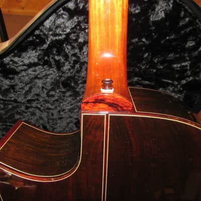 Wilborn MD Bucephalus Warhorse *Adirondack/Brazilian* One of a kind* VIDEO* image 12