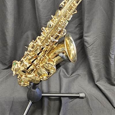 Selmer Paris Super Action 80 Series II Alto Saxophone w/ case image 1