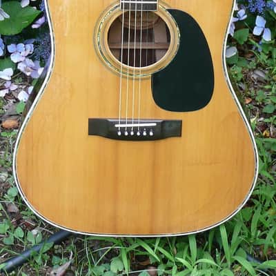 Hillbilly by Suzuki W-40 Brazilian Rosewood 1970's Natural BARGAIN image 4