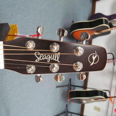 Seagull Guitars Entourage CW Acoustic-Electric Guitar with Presys  - Autumn Burst *FREE SHIPPING!!! image 4