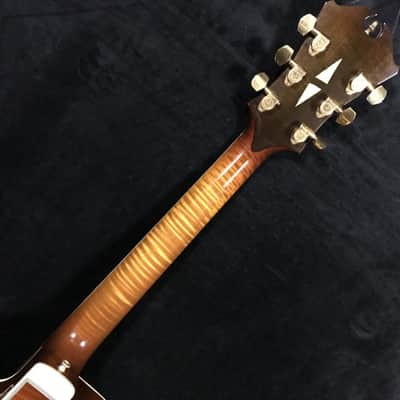 1972 Jimmy D'Aquisto New Yorker 17" Tea Burst image 9