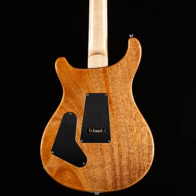 PRS Custom 24 Floyd Private Stock Color Tiger Eye 10 Top (082) image 4