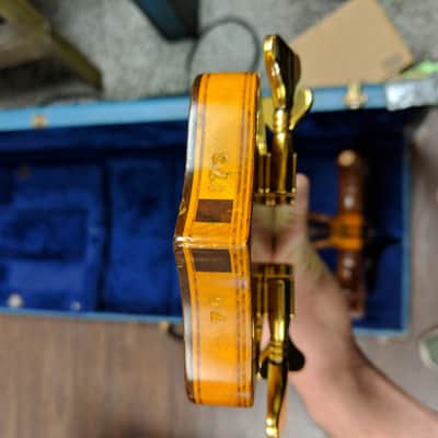 Alembic Series 1 1975 34" Scale Length image 8