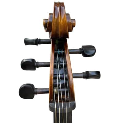 Copy sleeping 5 string Cello, Master Sound , Professional 4/4 Cello, Spirit Varnish image 12