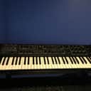 Sequential Circuits Prophet 600 + GliGli Mod!