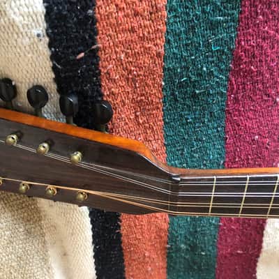 Fancy Bowlback Mandolin, Early 20th Century, Excellent Condition image 6