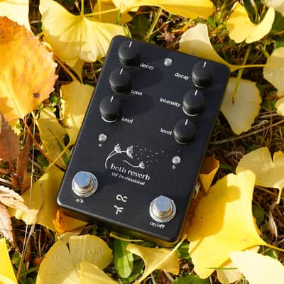 One Control Beth Reverb image 4