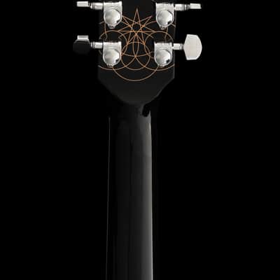 Gibson Adam Jones Les Paul Standard image 15