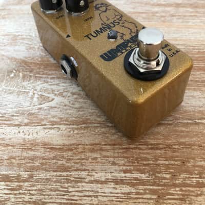 Wampler Tumnus 2010s - Gold image 3