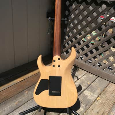 Schecter USA Custom Shop Masterworks Banshee Exotic 2018 image 12
