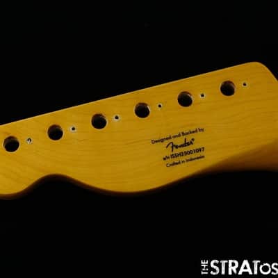 Fender Squier Classic Vibe 50s Telecaster NECK Tele Tinted Guitar Part Maple image 6