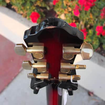 Ibanez AEL20-TRS-14-01 image 9