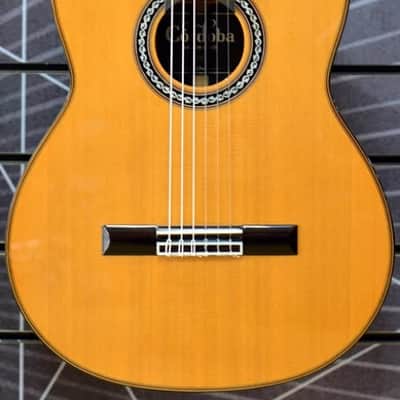 Cordoba Luthier C10 Cedar All Solid Nylon Guitar & Case image 6