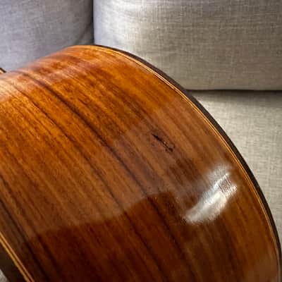 Vintage 1979 Giannini AWN 71 Classical Acoustic Guitar Brazilian Rosewood image 12