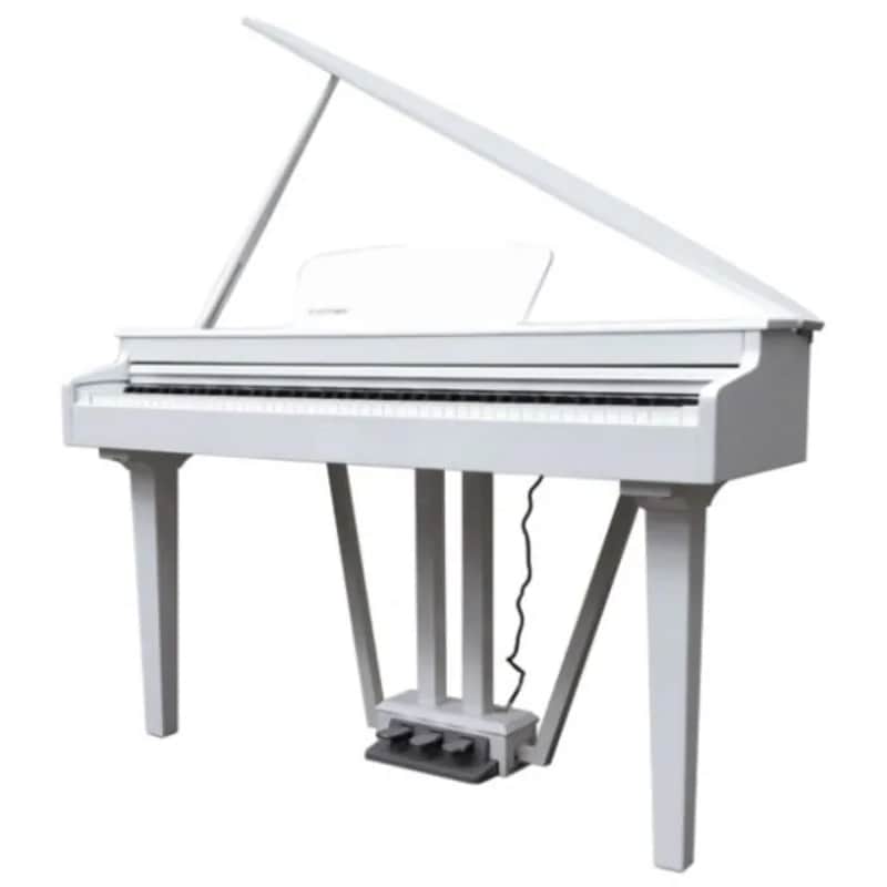 CODINO PIANO DIGITALE FBT ECHORD GP-10  BIANCO image 1