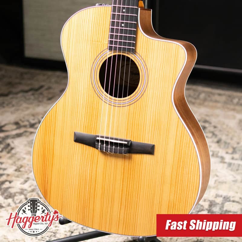 Taylor 214ce-N Nylon Grand Auditorium Acoustic/Electric Guitar with Gig Bag image 1