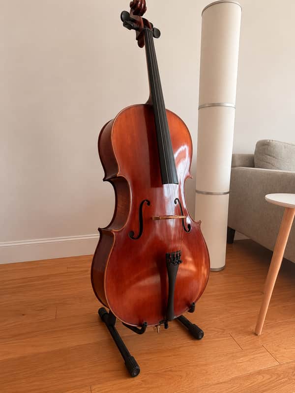 Professional 4/4 Workshop Cello – Larsen/Spirocore Setup – Bow & Phoenix Case Included Bild 1