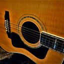 Guild D-55 "Westerly Wonder Dripping in Silk" "A Medullary Marvel" Guild Acoustics Vintage