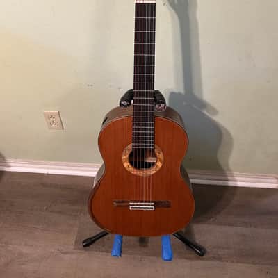 Redman 630 Small Scale Guitar Small Scale Guitar 2024 - French Polish image 1