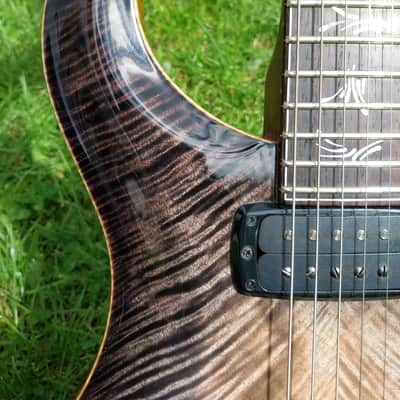 PRS Paul's Guitar Private Stock #9268 CITES image 14