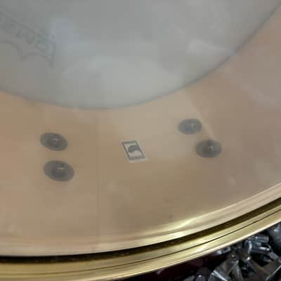 Mapex Black panther 6 1/2 x 14 snare drum with gold hardware image 8
