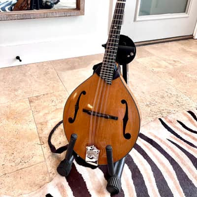 Collings MT-2 2020 - Honey Amber Fully Torrefied image 1
