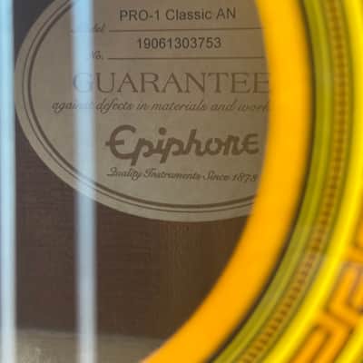 Epiphone PRO-1 Classic 2014 - 2020 - Natural image 4