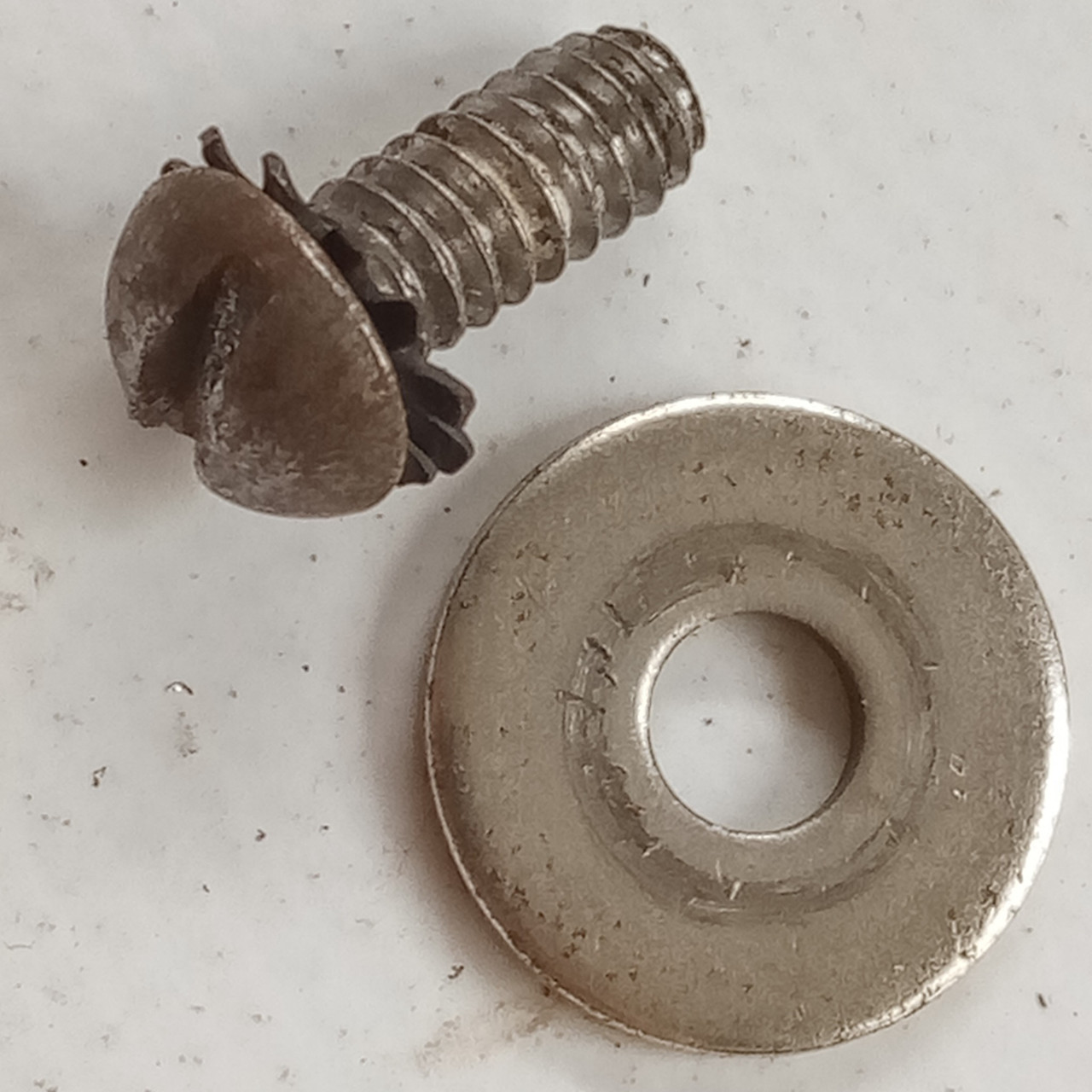 Leedy 1/2"10-24 Screw for Beavertail Lug +Star +Nickel-Steel Washers Vintage 40s — main photograph