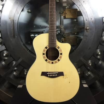 Ibanez A100ENT1201 w/ Case image 1