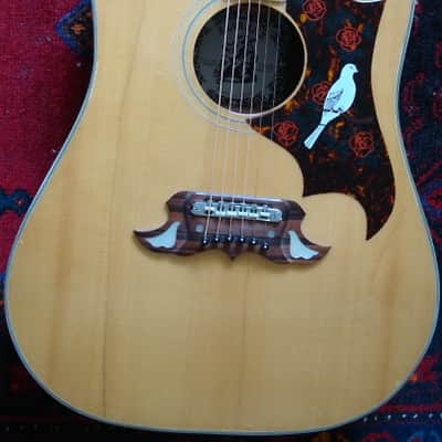 Alvarez 5025 ( Dove ) 68-69 Rosewood/spruce image 12
