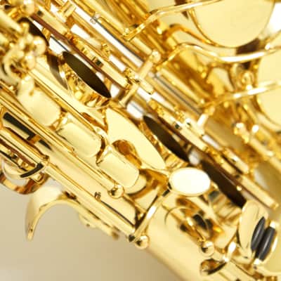【Special price】 Yanagisawa A-WO10 [AW010] Professional Alto Saxophone image 10