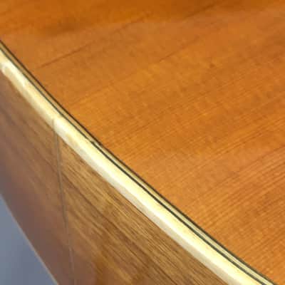 Vintage Jose Luis Velazquez Classical Nylon String Spanish Guitar Made in Mexico Solid Woods Original Case image 18