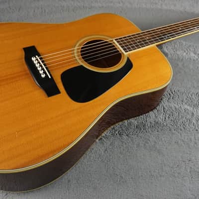 Morris MV-702 1980s - Natural MIJ Acoustic image 4