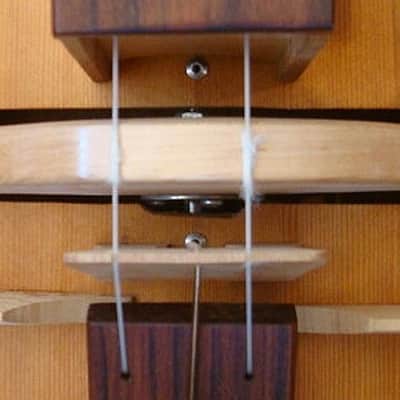 Hurdy Gurdy image 5