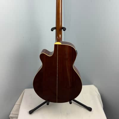 Jay Turser JTAC-50EQ Acoustic-Electric Cutaway Guitar w/ Brand New Great Divide Gig Bag image 14