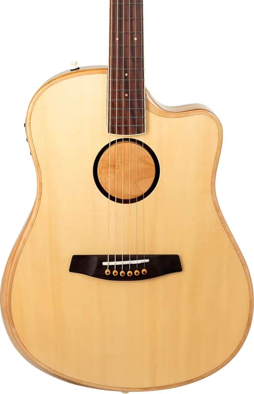LR Baggs AEG-1 Thinline Acoustic-Electric Guitar, Solid Spruce Top, Natural image 1