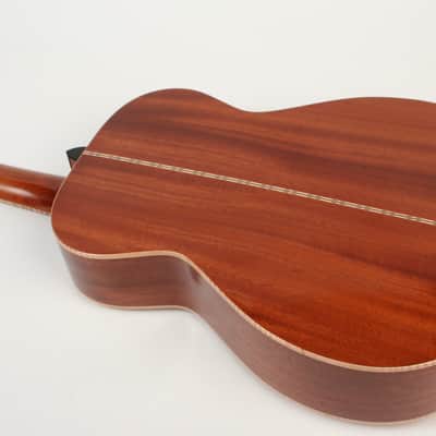Jewitt Acoustic Guitars 0 - Mahogany  New image 8