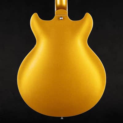 Electric Guitar with 6 String, Semi Hollow Body Electric Guitar, Humbucker Pickups, Roosewood Fingerboard, Rounded End Jumbo Frets, Full (Gold) image 2