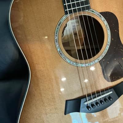 Taylor 517e Grand Pacific 2024 - Torrefied spruce top, Urban bark sides and back with shaded edge burst image 4