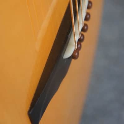 Darren Hippner #17 Ltd Dreadnought/ Bluegrass-Adirondack Spruce top/ Tasmania Jarrah image 10