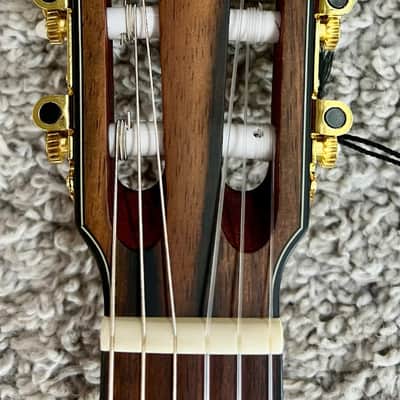 Mint Ibanez Model FRH10NBSF Acoustic Electric Classical Guitar, Brown Sunburst Flat image 8