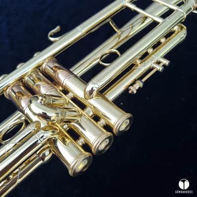0.462 Mt Vernon Vincent Bach Stradivarius Lightweight STAR 25 trumpet case mouthpiece  gamonbrass image 11