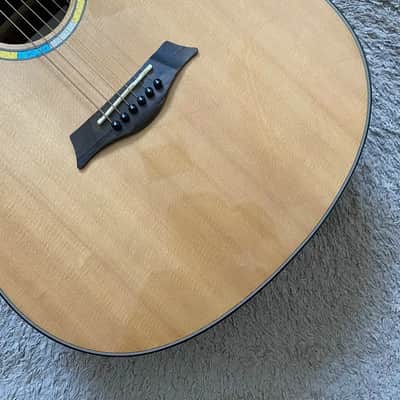 Cronus 41' Acoustic Guitar, Spruce Mahogany Body, Rosewood Fingerboard Neck image 4