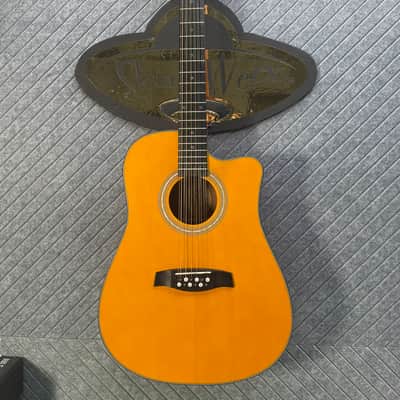 Fesley FDET280C 12 String SkunkWerx Stage Ready IN USA SETUP String Joy 2025 - Natural image 8