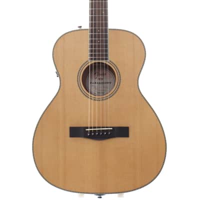 FENDER Paramount PM-TE Standard Travel Natural [CC170905760] (06/01) image 1