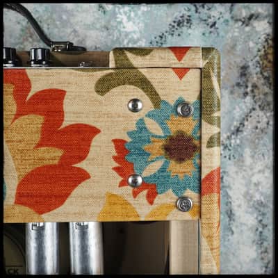 Benson Vinny Reverb Combo - Desert Gertie image 14
